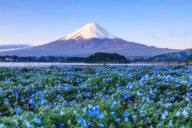 Instagram-worthy Mt. Fuji Spots & Kawaguchiko's Four Seasons Tour - Starting at Chureito Pagoda: The Iconic First Stop