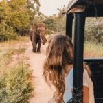 Instagramble Sri Lanka - 7 Days - Who Is This Tour Best For?