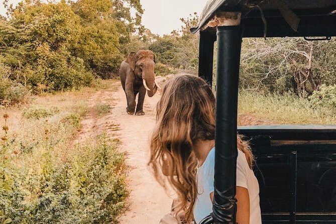 Instagramble Sri Lanka - 7 Days - Who Is This Tour Best For?