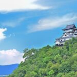Inuyama Private Tour with Kimono and Sado Experience from Nagoya - Exploring the Itinerary in Detail