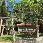 Iriomote Culture Discovery. Indigenous culture on Iriomote Island - FAQs About the Iriomote Culture Discovery Tour