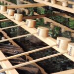 Ise: Full-Day Guided Tour of Shrines and Oharaimachi - Price and value analysis