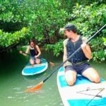 [Ishigaki]Mangrove SUP/Canoe + Blue Cave Snorkeling - Who Should Consider This Tour?