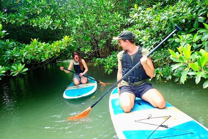 [Ishigaki]Mangrove SUP/Canoe + Blue Cave Snorkeling - Who Should Consider This Tour?