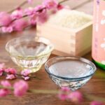 Iwakuni Tour from Hiroshima with Sake Tasting and Sushi Making - Who Would Appreciate This Tour?