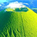 Izu Day Trip: Omuroyama & Coast 9-Guest Small Group - A detailed look at the Izu small-group day trip