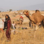 Jaipur: Ajmer & Pushkar Day Trip with Lunch & Camel ride - Frequently Asked Questions