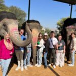 Jaipur: City Tour With Elephant Interaction - Who Would Love This Tour?