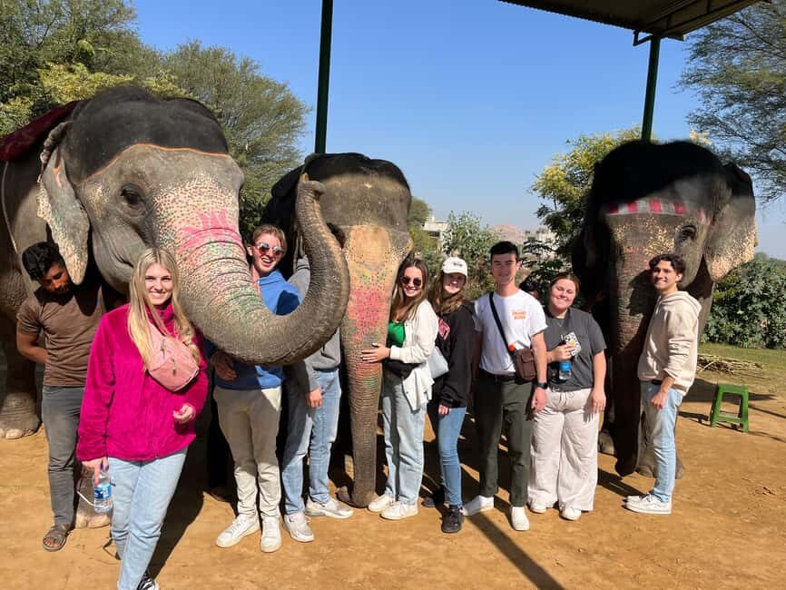 Jaipur: City Tour With Elephant Interaction - Who Would Love This Tour?