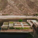 Jaipur Royal Getaway: Luxurious 2-Day, 1-Night Stay - Transport, Timing, and Overall Value