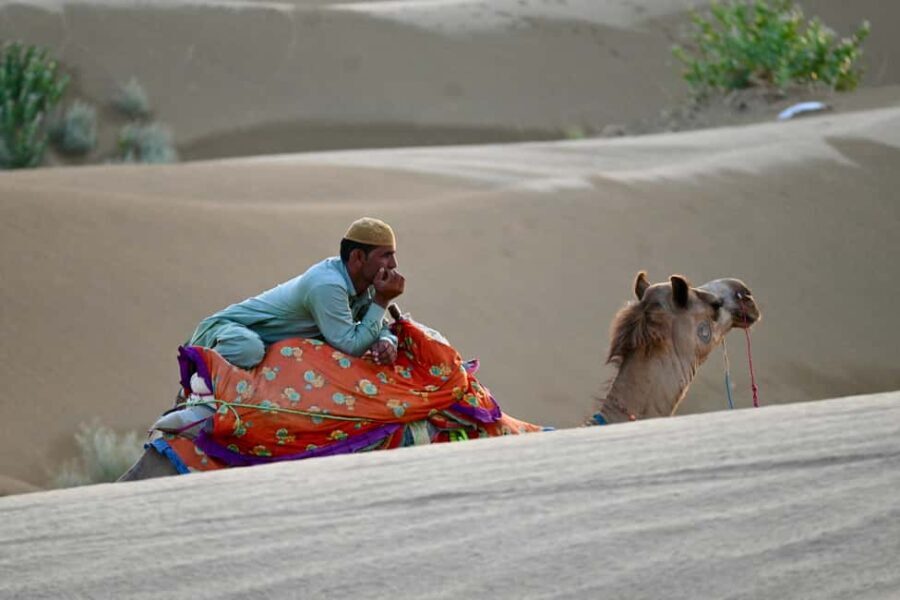 Jaisalmer: Desert Camp with Camel Ride and Cultural Show - Why Choose This Tour?