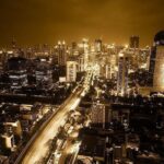 Jakarta Private Walking Tour with a Local - Who Will Love This Tour?