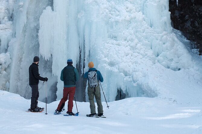 Japan Alps Norikura Frozen Water Fall Snowshoe Trekking Tour - Final Thoughts: Who Should Consider This Tour?