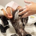 Japanese Head Onsen and Scalp Massage Retreat in Tokyo - Practical Tips for Visitors