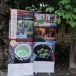 Japanese Tea Ceremony - Practical Details and Considerations