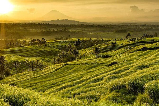 Jatiluwih Rice Terrace & Tanah Lot Tours - Practical Details & Tips