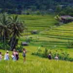 Jatiluwih Spiritual Journey of Melukat with Rice Terrace View - Who Should Book This Tour?