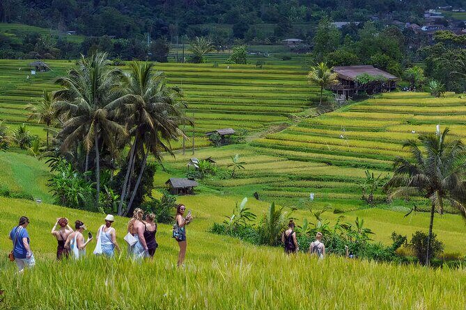 Jatiluwih Spiritual Journey of Melukat with Rice Terrace View - Who Should Book This Tour?