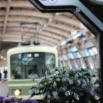 Jeans Kamakura and Enoshima 1 Day Walking Discovery Tour - Who Will Love This Tour?