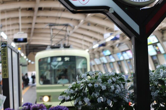 Jeans Kamakura and Enoshima 1 Day Walking Discovery Tour - Who Will Love This Tour?