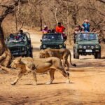 Jeep Safari - Gir National Park, Gujarat, India - Key Points