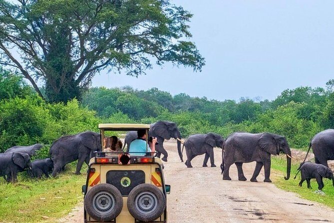 Jeep Safari to Yala National Park With an Expert Of Wild Life - FAQ Section