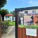 Jeju BTS & K-drama Small Group Day Tour including Snoopy Garden - The Itinerary in Detail: What You Can Expect