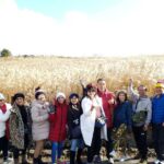 Jeju bus tour with professional English guide for cruise customer - The Sum Up: Is This Tour Worth It?