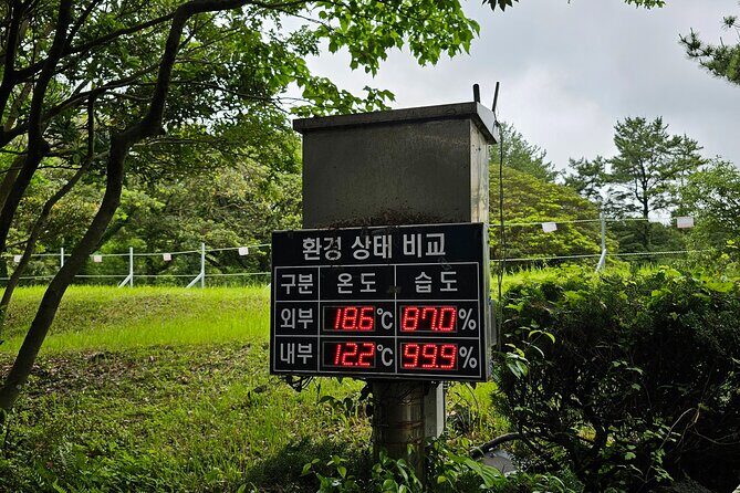 Jeju Day Tour - World Heritage & UNESCO - A Detailed Look at the Jeju UNESCO Day Tour