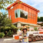 Jeju East: Small Group Healing Tour w/Woman Divers Show - First Stop: Hamdeok Beach