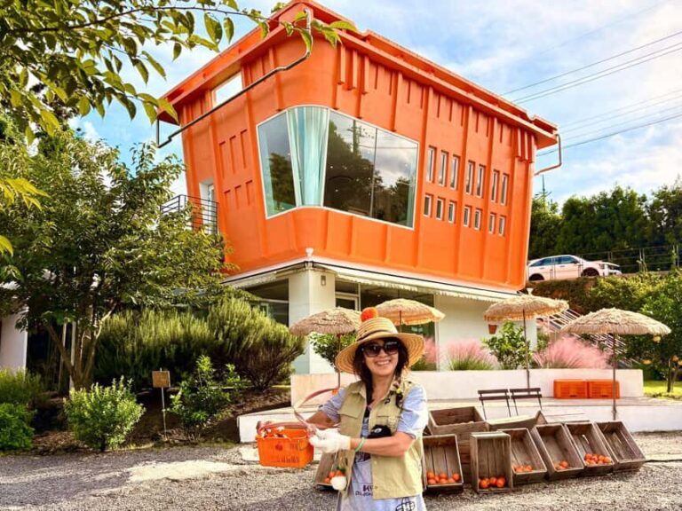 Jeju East: Small Group Healing Tour w/Woman Divers Show - First Stop: Hamdeok Beach