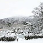 Jeju Island: East Jeju UNESCO Highlights Full-Day Tour - Why We Think This Tour Works