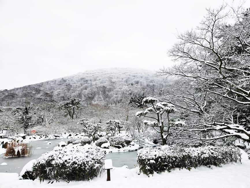 Jeju Island: East Jeju UNESCO Highlights Full-Day Tour - Why We Think This Tour Works