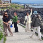 Jeju Island Popular Sightseeing Private Car Charter Tour 5/9hours - Who Should Consider This Tour?