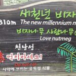 Jeju island private DAY Tour - South of Jeju - Transportation and Logistics