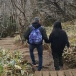 Jeju Island Private Taxi Tour: Mt. Hallasan and Waterfalls - Who Would Love This Tour?