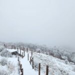 Jeju island Southern UNESCO Day Tour With Hallasan MT - An In-Depth Look at the Jeju Southern UNESCO Day Tour