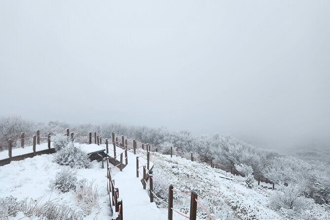 Jeju island Southern UNESCO Day Tour With Hallasan MT - An In-Depth Look at the Jeju Southern UNESCO Day Tour