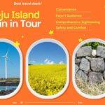 Jeju Island UNESCO Heritage Bus Tour - Who Is This Tour Best For?
