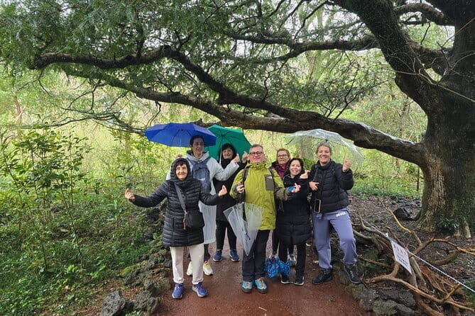 Jeju Private Half-Day Tour for Cruise Customers - Frequently Asked Questions