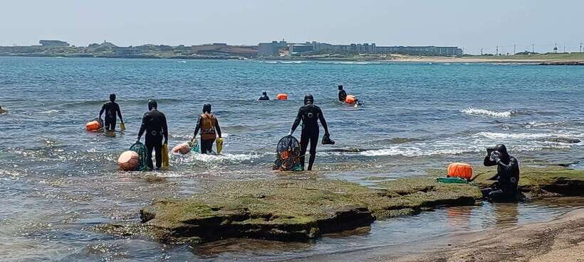 Jeju: Private Tour with an English Guide and a Vehicle - A Deep Dive into the Jeju Private Tour Experience