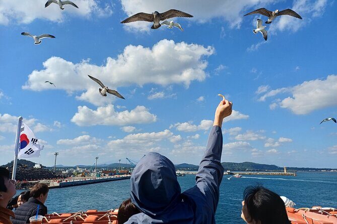 Jeju Udo Electric Bike and Seongsan Ilchulbong Private Tour - Who Should Consider This Tour?