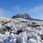 Jeju WEST&SOUTH One Day Tour with MT.halla & UNESCO - FAQ