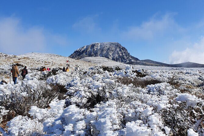 Jeju WEST&SOUTH One Day Tour with MT.halla & UNESCO - FAQ