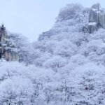 Jeonju Hanok Village and Daedunsan Serenity Nature Tour - Authentic Highlights and Tips