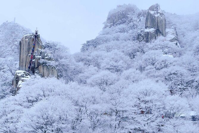 Jeonju Hanok Village and Daedunsan Serenity Nature Tour - Authentic Highlights and Tips