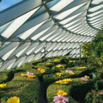 Jewel Changi Airport Tickets in Singapore - The Pricing and What You Get