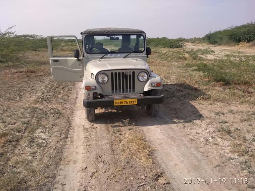 Jodhpur Bishnoi Village Safari With Meal - A Day Tour - A Detailed Look at the Bishnoi Village Safari Experience