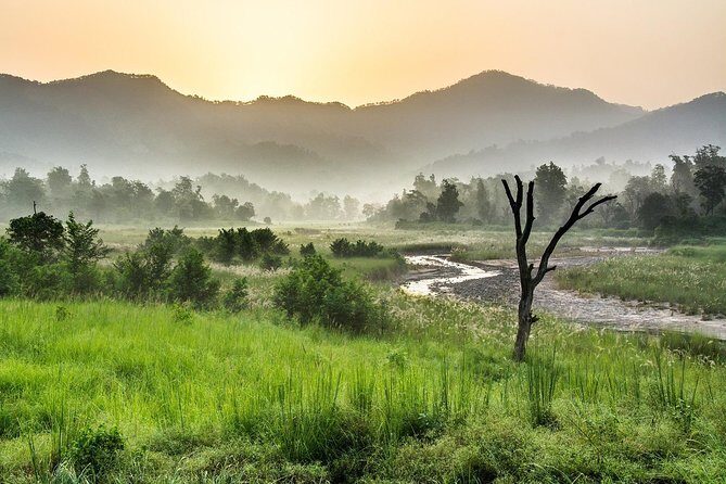 Jungle safari near Rishikesh inside Rajaji National Park - Frequently Asked Questions