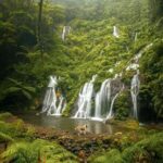 Jungle Trekking Day Tour - Authentic Experiences and Real-World Insights